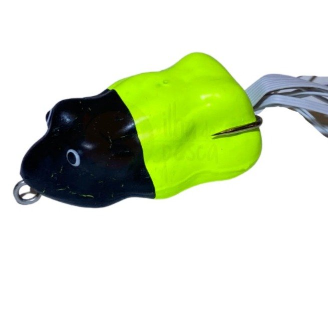 WhatsApp Image 2025-01-29 at 17.00.38